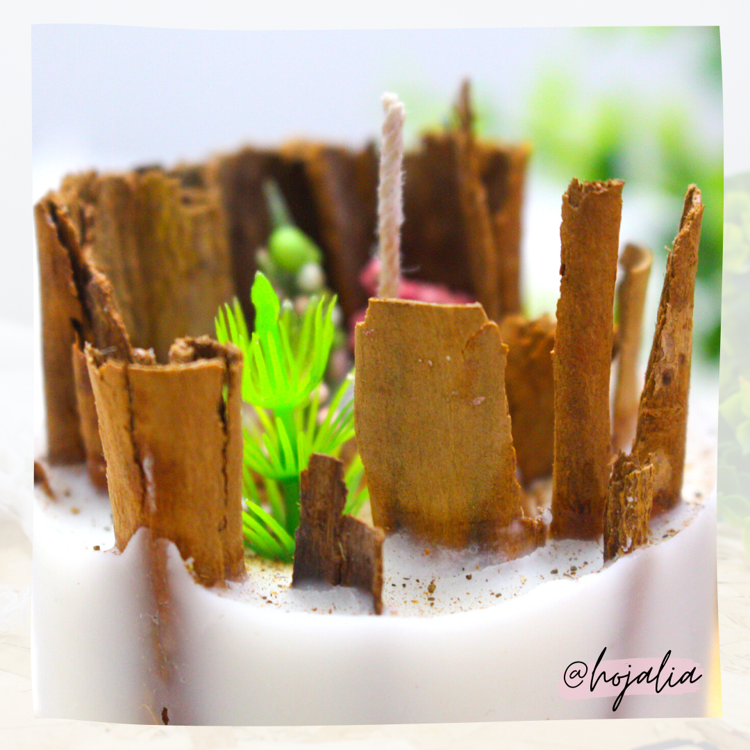 Vela Canelandia - Image 2