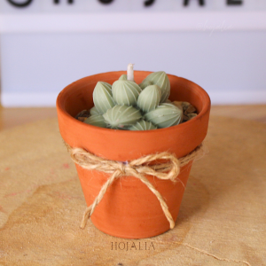 Vela tipo suculenta